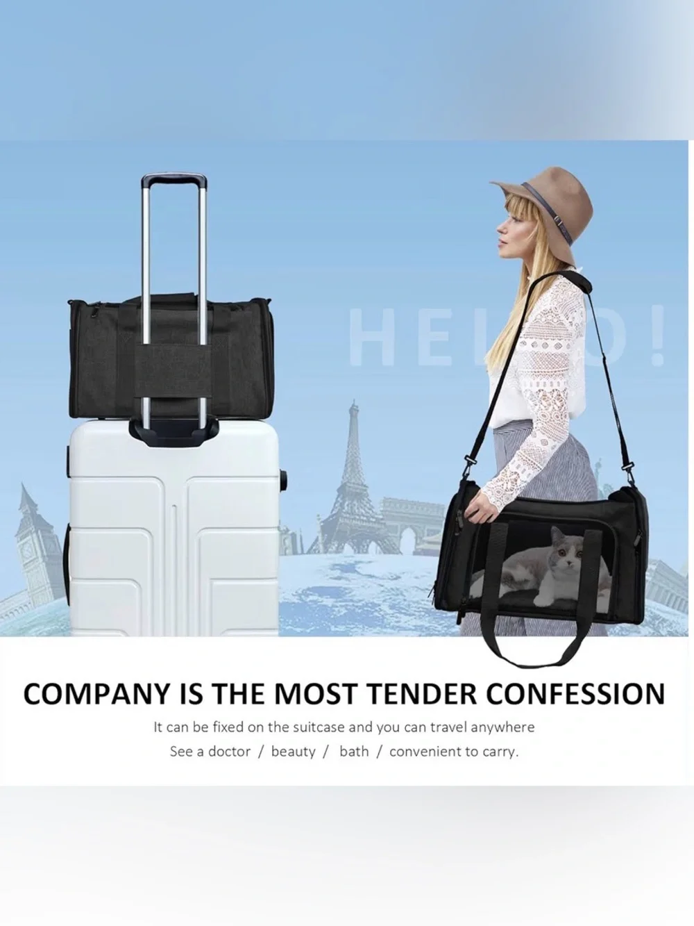 Black Large Portable & Foldable Cat/Pet Carrier with Shoulder Strap  25# Limit